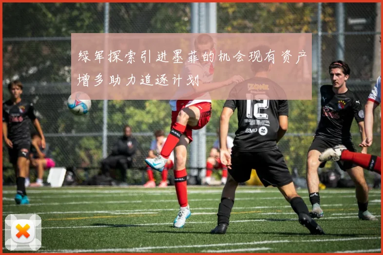 绿军探索引进墨菲的机会现有资产增多助力追逐计划